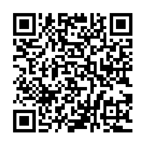 小舞把之前已经和流墨墨他们说过的那些线索情报又说了一遍二维码生成