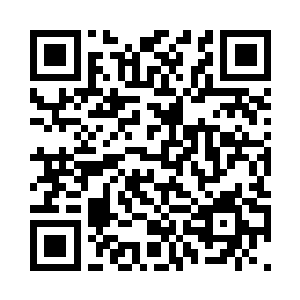 小艾身上脸上已经被打的血肉翻翻的二维码生成