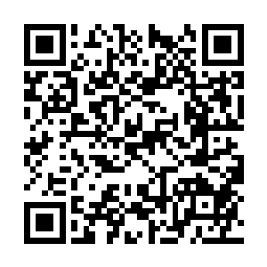 小贝吸着鼻子满脸懵懂的把那两根儿小黄草递给我二维码生成