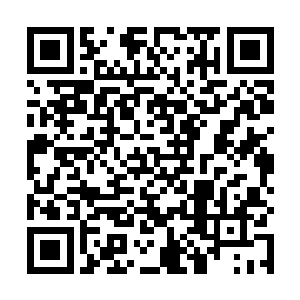 小部分追着其他应劫期而去这就是有紫卿云控制的好处二维码生成