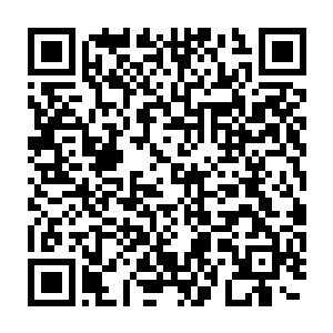 小金的修为竟然再一次像坐了火箭一般提升到了顶级神中期的层次二维码生成