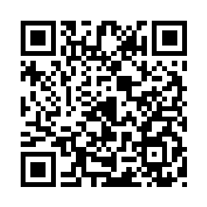 小飞碟判断不出这只穿沙甲人的智慧有多高二维码生成