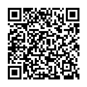 少女们都回想着她们进门之后听到的第一首歌曲二维码生成