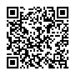 尤其是像火矛这种如凶悍的掠食者一样的狠角色二维码生成