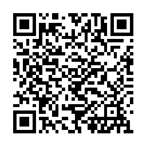 尤其是已经亲身体验过登龙梯厉害的那四个剑者二维码生成