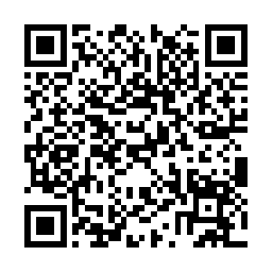 尤其是年份比较低级的朱果那些神仙更是不屑一顾二维码生成
