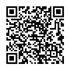 尤其是进化之力更是需要一代代传承来潜移默化的改变二维码生成