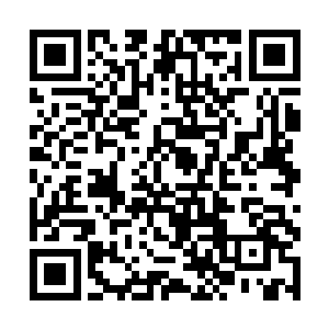 尤其是那一个个平常都只能在网络上看看图片的人物二维码生成