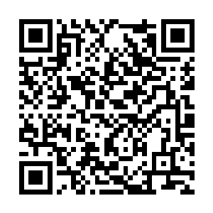 就仿佛这些邪异魔纹是专门用来坑杀裂风狼王似的二维码生成