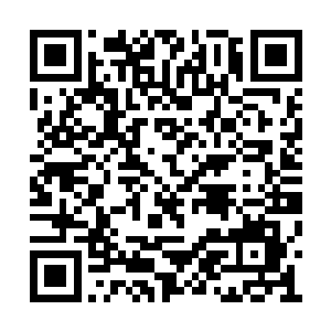 就会有京大沦落小学生演讲这种标题的新闻出现二维码生成