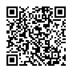 就像是狩猎归来的母狮子看到了鬣狗咬死了狮子幼崽似的二维码生成