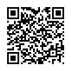 就像是纡尊降贵地在少年面前蹲了下来二维码生成