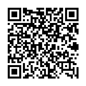 就像梓箐曾经在完美世界中看到的那种生存和延续模式一样二维码生成