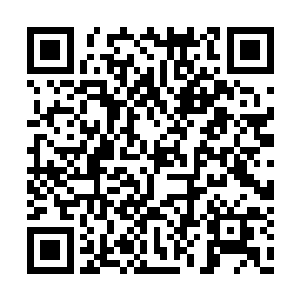 就凭你们两个这三脚猫的功夫也敢去大荒山深处二维码生成