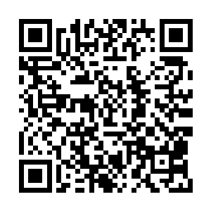 就剩他一个借% 助拍马屁的功夫侥幸活了下来二维码生成