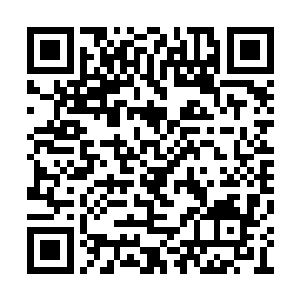 就又是五六个人在凄厉的惨叫声中化作残肢血肉二维码生成