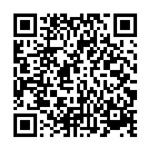 就发现原本还算宽敞的办公桌此时已经堆满了各种礼盒二维码生成
