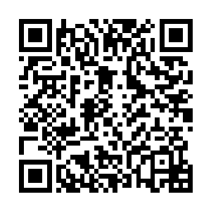 就只能下次待得天目穴中储存的蓝色晶体能量大量消耗后二维码生成