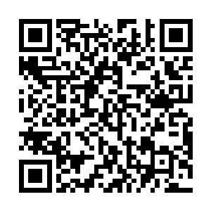 就可以将这些灵兽经过再次的强化和对他们灵力的修炼二维码生成