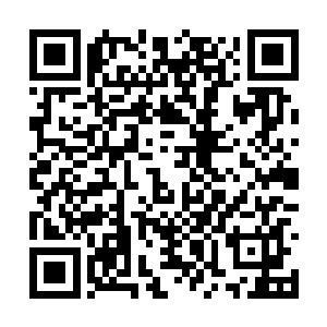 就可以抵消一切的疑问――无论是秦洛还是秦纵横二维码生成