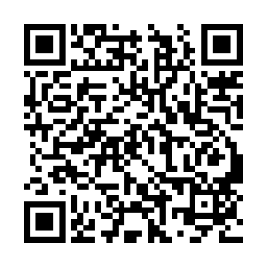 就向那团正在光幕上熊熊燃烧的紫色灵火撞了上去二维码生成