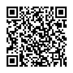 就听见一阵惨叫声夹杂着可怕的骨骼断裂声响起二维码生成