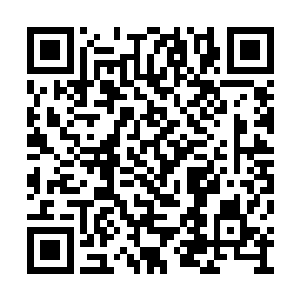 就听说了设计总监把重大案子交给言左左的事情二维码生成