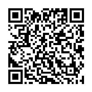 就在两个人聊天的时候其余的人也都慢慢的醒了过来二维码生成