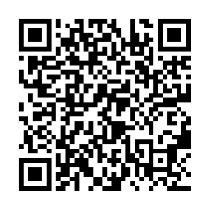 就在众人都以为林铭这次融合法则会黯然收场的时候二维码生成