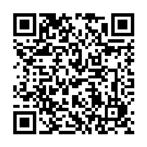 就在刚刚林萧羽已经亲自打电话到狼神基地来表示谢意二维码生成