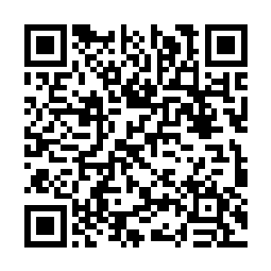 就在夏天起身想要直接去找神风山那个山主的时候二维码生成