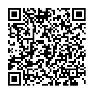 就在大堂里转了几圈走了个过场的搜查人马近乎秋毫无犯地出来了二维码生成
