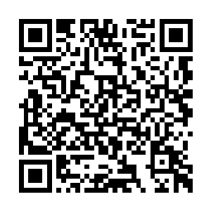 就在天凤斩距离黑色大蛇还有十米左右的距离时二维码生成