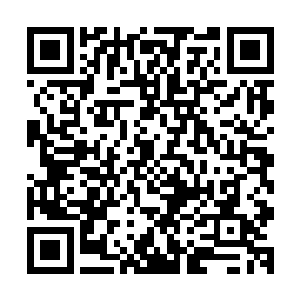 就在巴克旁边的古丽莎却一下猛举起衣服中的枪对准了法国人二维码生成