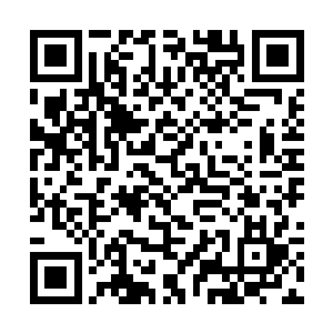 就在这个时候马一冰和贺建军一起分开人群走了进来二维码生成