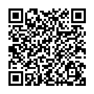 就在黑痣青年想要吹牛说他一定能想办法弄到攻击元玉的时候二维码生成