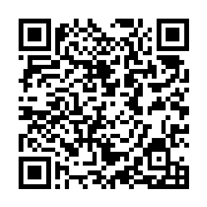 就好像她们之前在沪海参加拍卖会搞商务接洽时候一样二维码生成