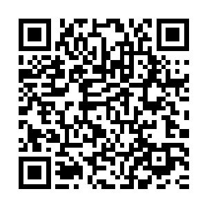 就好像有一双看不见的手勒着他们的脖子将他们硬生生提起一样二维码生成
