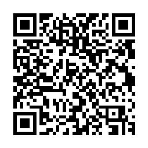 就安静的看着那两个大地骑士战斗和远处人族与魔族大阵的碰撞二维码生成