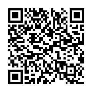 就将两尊体形庞大的机甲不知弄到了哪里去这一点二维码生成