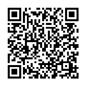 就将他的传承和所有的一切全都传给百家星的人二维码生成