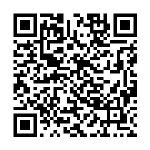 就应该做的就是帮助自己丈夫完成最后的这一个布局二维码生成