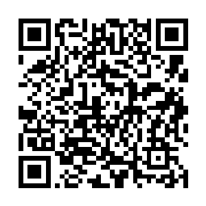 就怕露出胆怯害怕的神情而减低他们在女兵心中的形象二维码生成