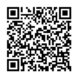 就是一旁的唐灵儿和憨厚修士也都是满眼的期待二维码生成