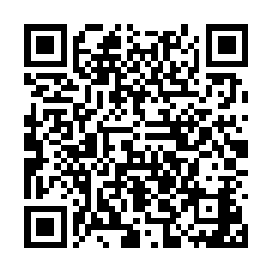 就是一直居住在这里的沈醉花也是一脸的喜气洋洋二维码生成