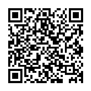 就是七家总投资超过五千万元的机械加工企业在经开区落户开建二维码生成
