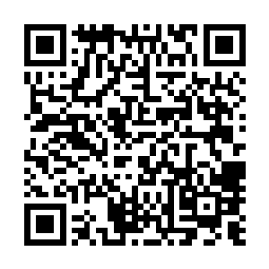 就是不知道你的医术是不是和你拍马屁的功夫一样厉害……二维码生成