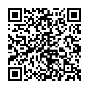 就是傻子也知道这血色之物应该是血蛇的血液了二维码生成