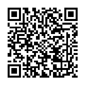 就是叶楚带回皇室的那二十几个娘娘公主还有皇后的时候二维码生成