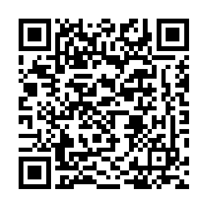 就是因为刚才他在严公子的身上发现了一丝丝的红色灰尘二维码生成